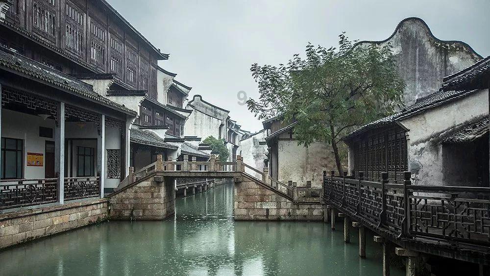 细胞分裂4